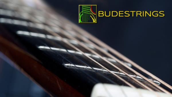 Budestrings