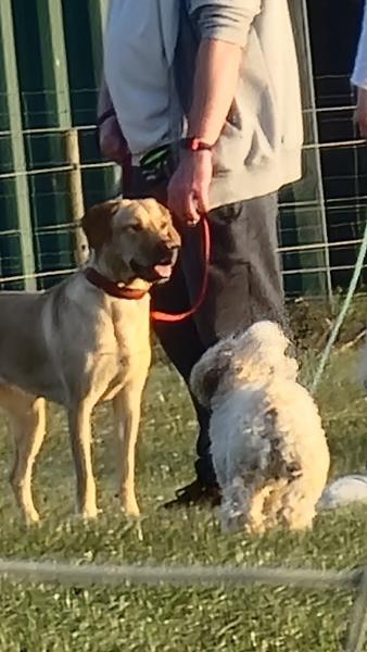 Southview Farm Livery Yard