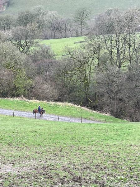 Underhill Riding Stables