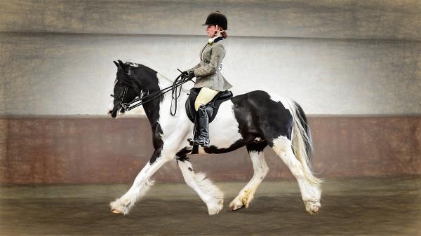 Barleylands Equestrian Centre