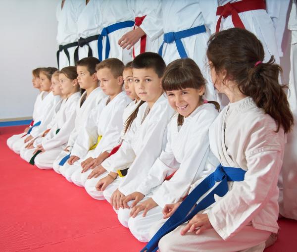 Lgma Kids Karate -Solihull