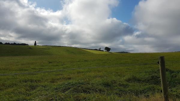 Buckleap Stables