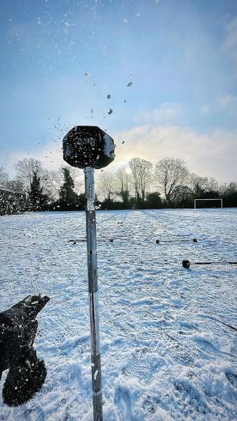 The High Rep Society