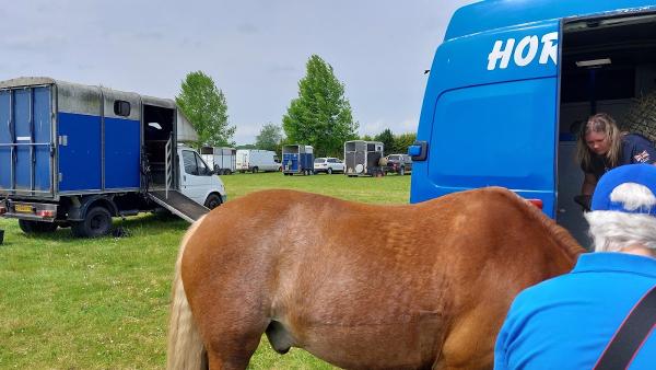 Leyland Court Equestrian Centre