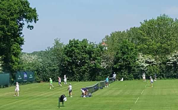 Sundridge Park Tennis
