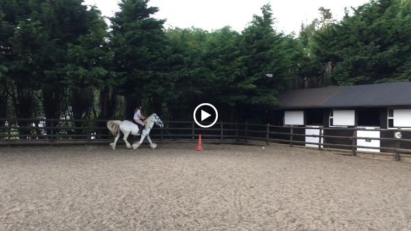 Dulwich Riding School