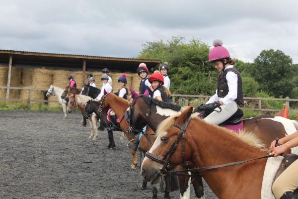 Holtwood Farm Stables