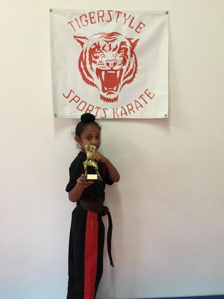 Tigerstyle Sports Karate & Kickboxing Centre