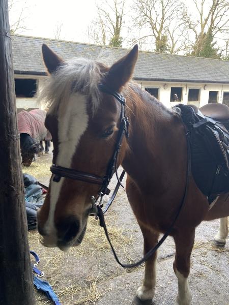 Hill Top Equestrian Centre