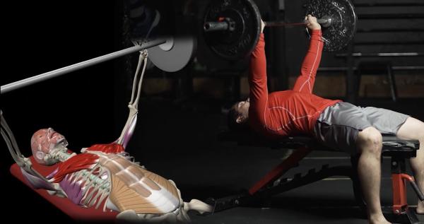 Pcpt Fitness