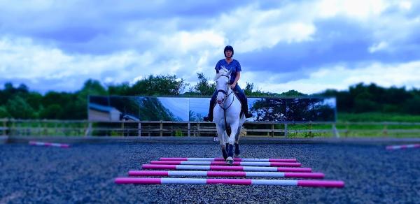 Middleton Livery Yard and Riding Tuition