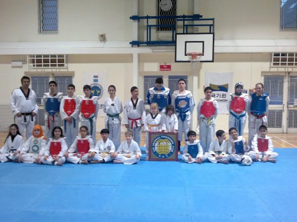 Original Taekwondo Club