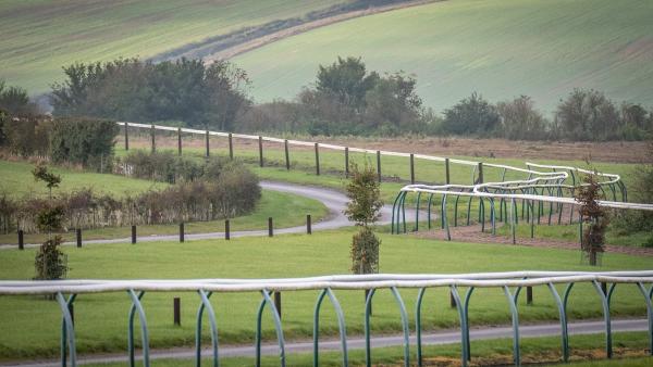 Jockey Club Estates