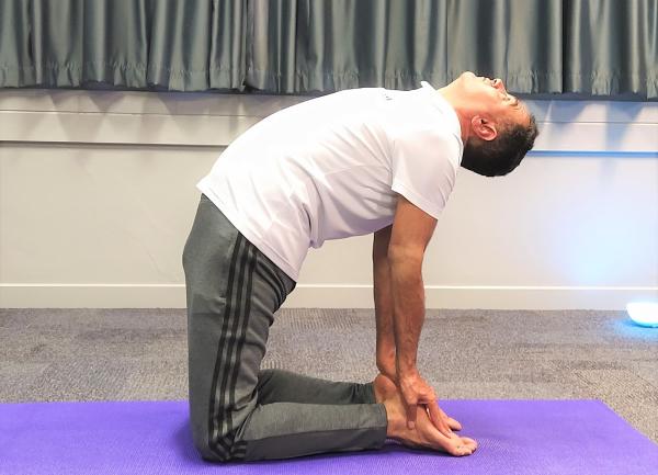 Vedanta Wellness Yoga