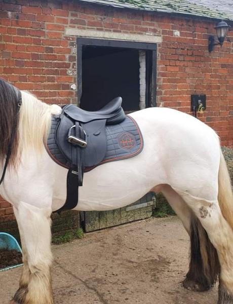 Howletts Hall Equestrian