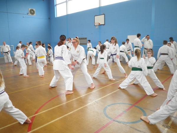 Newport Pagnell Shotokan Karate Club