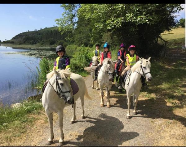 St Patrick's Way Stables