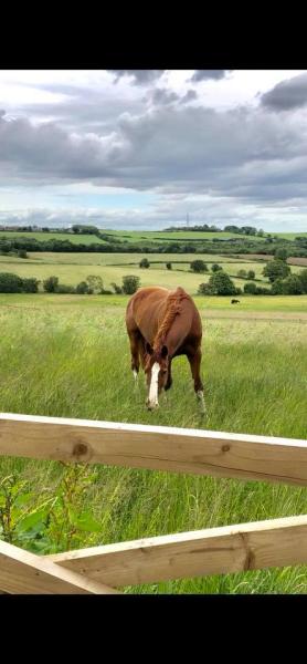 Barcus Close Livery Centre Newcastle and Durham