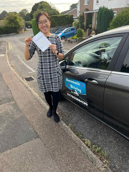 Automatic Driving Lessons