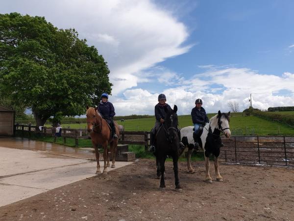 T & Y Hillcroft Farm Riding Centre