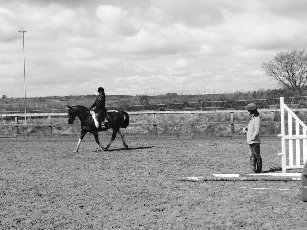 T & Y Hillcroft Farm Riding Centre