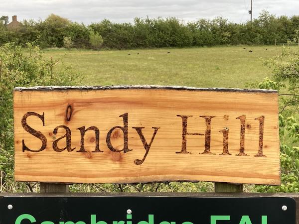 Sandy Hills Stables