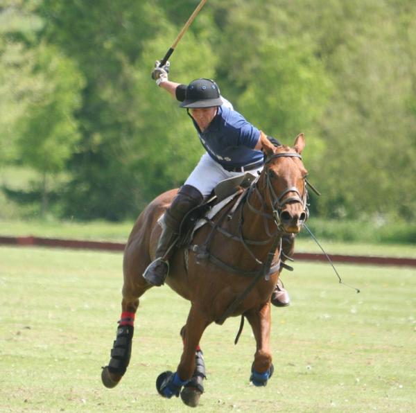 Hampshire Polo School