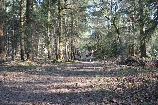 Forest-Yoga