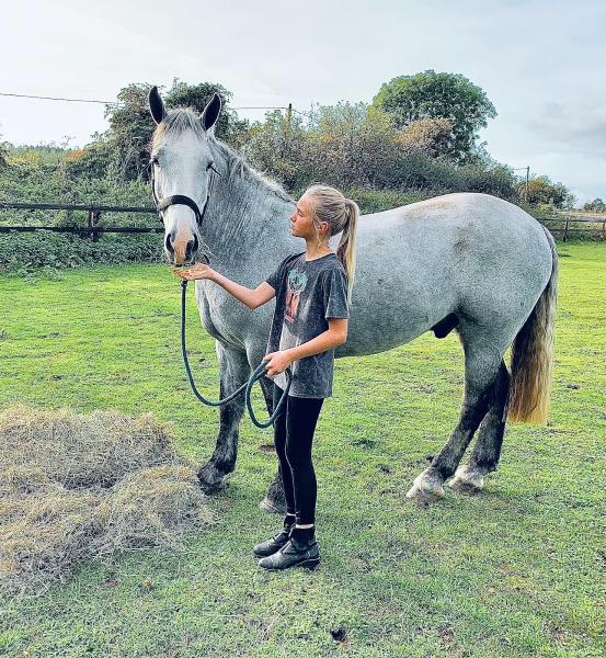 Foxcote House Livery Yard & Riding School