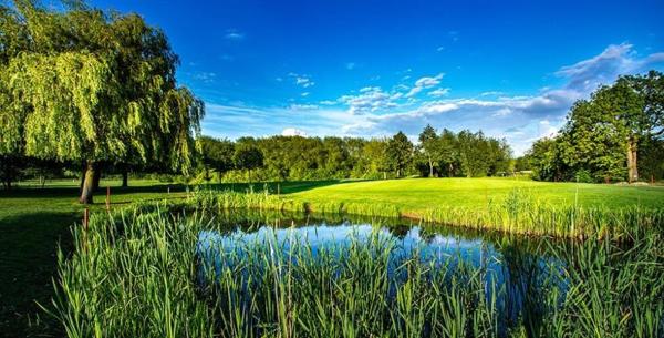 Andrew Clarke Golf School