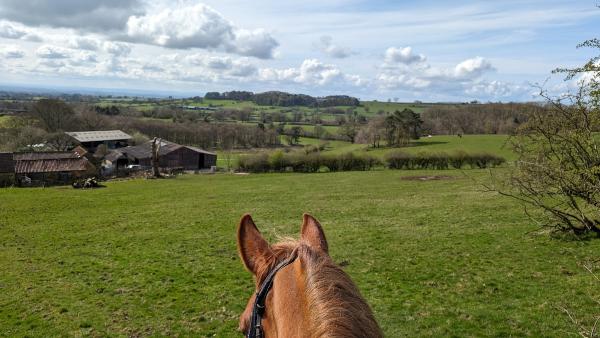 Boltby Trekking Centre