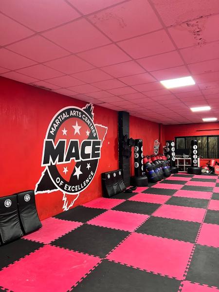 Martial Arts Centres of Excellence West Bromwich