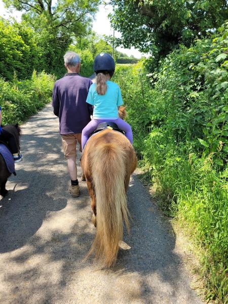 Humaryn Shetland Pony Rides