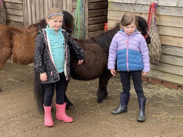 Humaryn Shetland Pony Rides