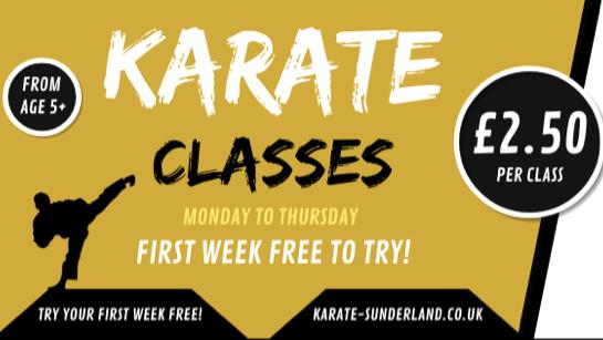 Honto Shin Karate Academy