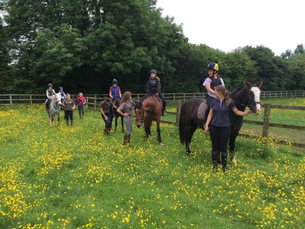 Catherington Equestrian Centre