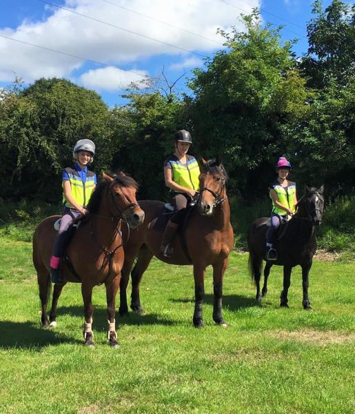 Catherington Equestrian Centre