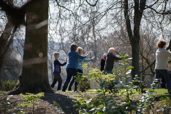 Discover Tai Chi Ltd