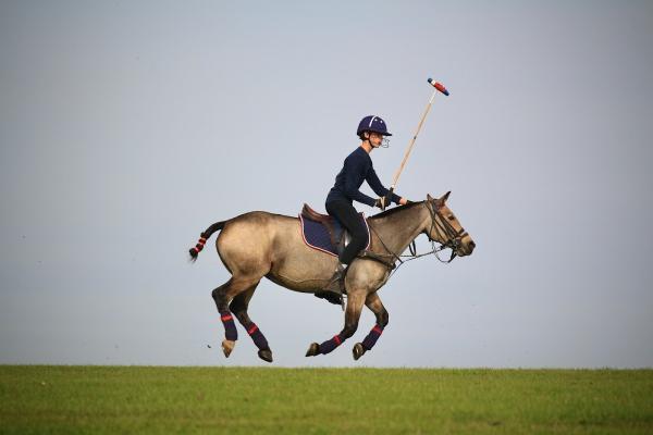 Conroy Polo