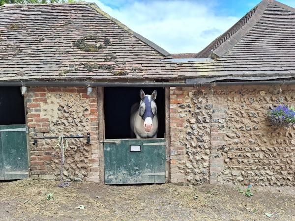 The Stables at Cissbury