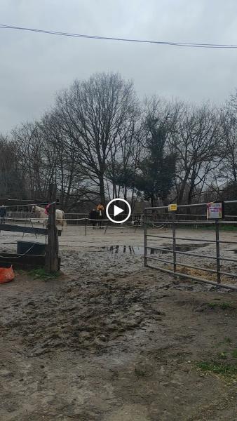 Aldersbrook Riding School