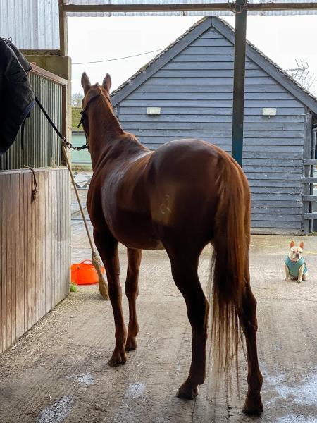 Hedsor Park Farm