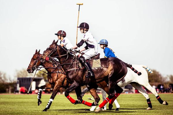 Kirtlington Park Polo School