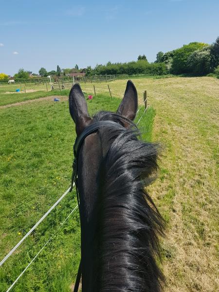 Poplars Farm Cross Country