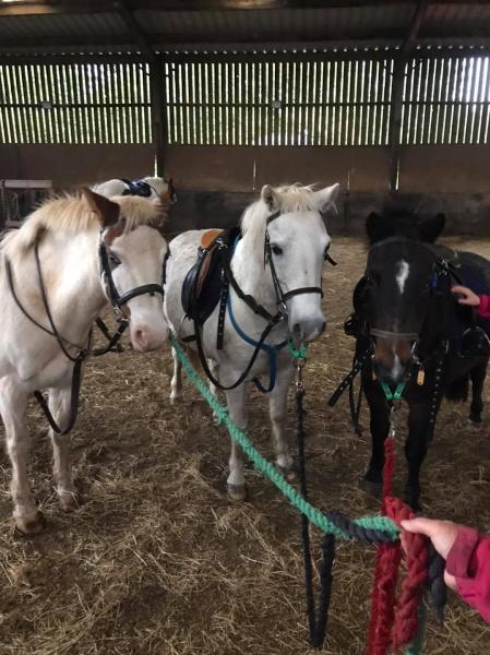 Guinness Park Equestrian Centre