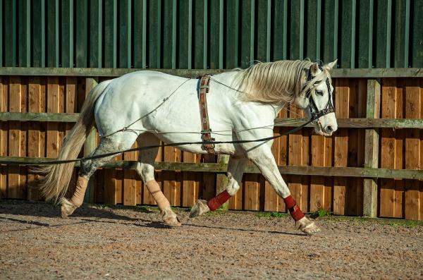 Harness Change at Bigland Hall