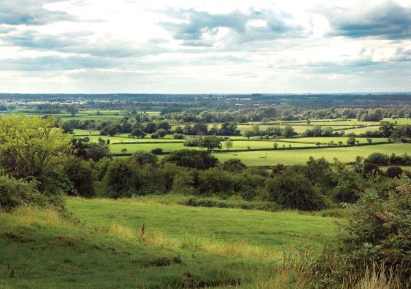 Wiltshire Ceramic Studio