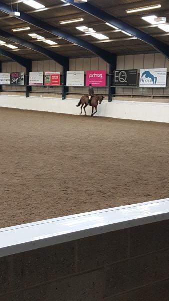 Crofton Manor Equestrian Centre