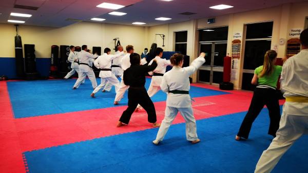 Shin Gi Tai Martial Arts Academy