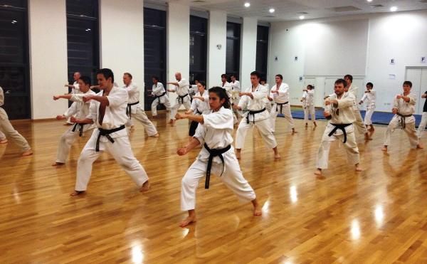 Daigaku Karate Kai (University of Westminster Karate Club)